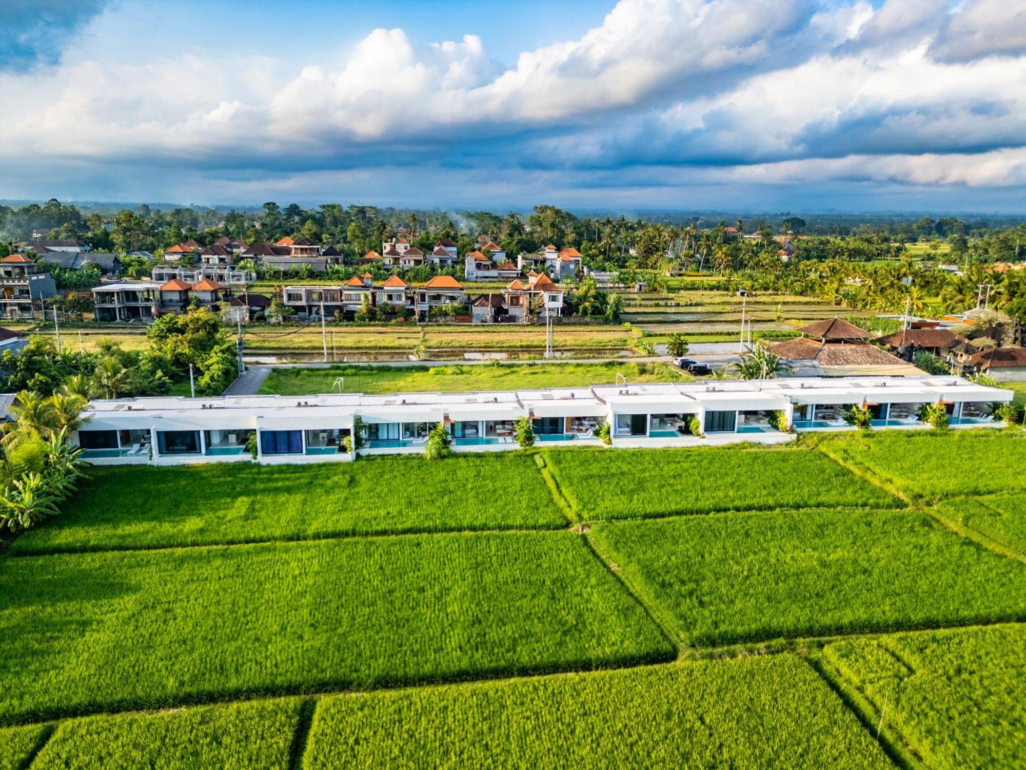 Anyuta Rai Villa Ubud Extérieur photo